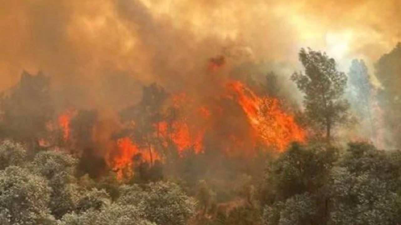 Eskişehir Seyitgazi’de facia: 11 orman işçisi şehit oldu