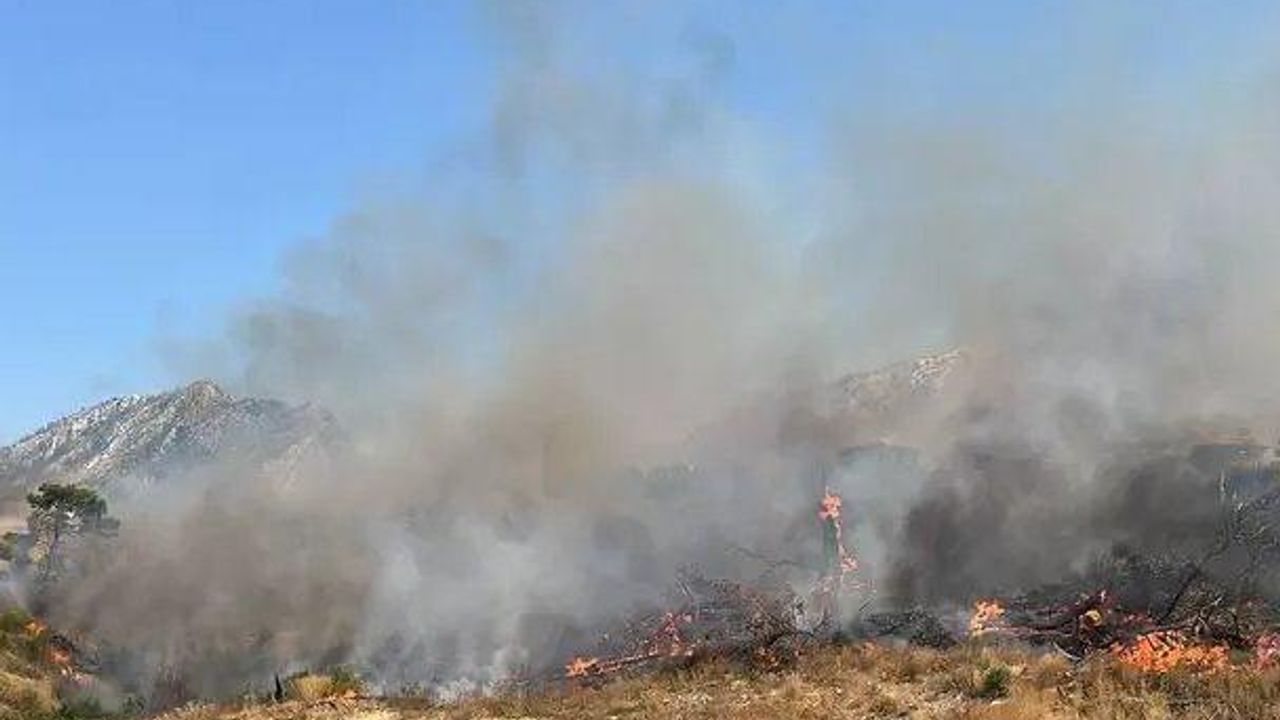 Akhisar’daki orman yangını 18 saat sonra kontrol altına alındı