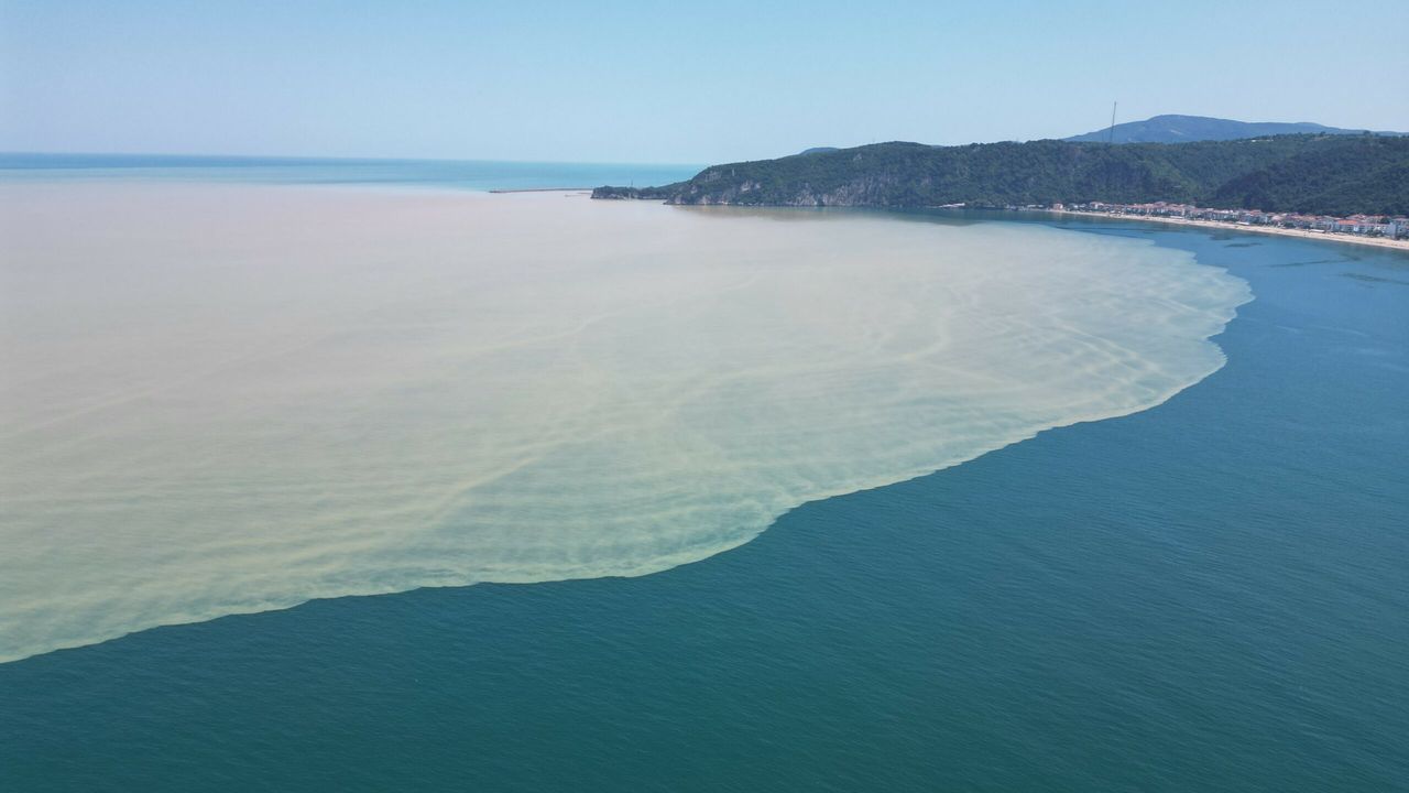 Sakarya sahillerine kırmızı bayrak çekilecek