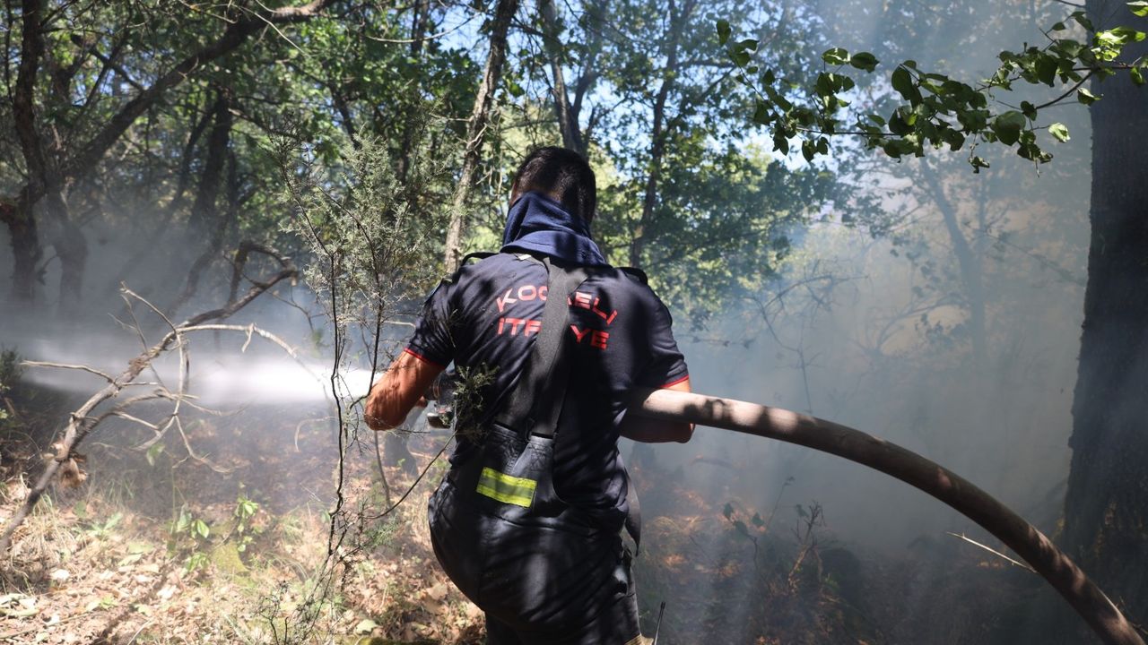 Kocaeli Büyükşehir, Karamürsel yangını için seferberlik ilan etti