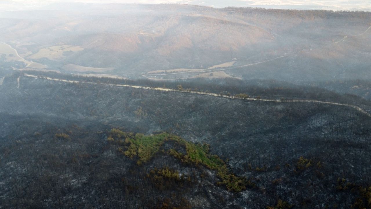 Gelibolu’daki orman yangını kontrol altında