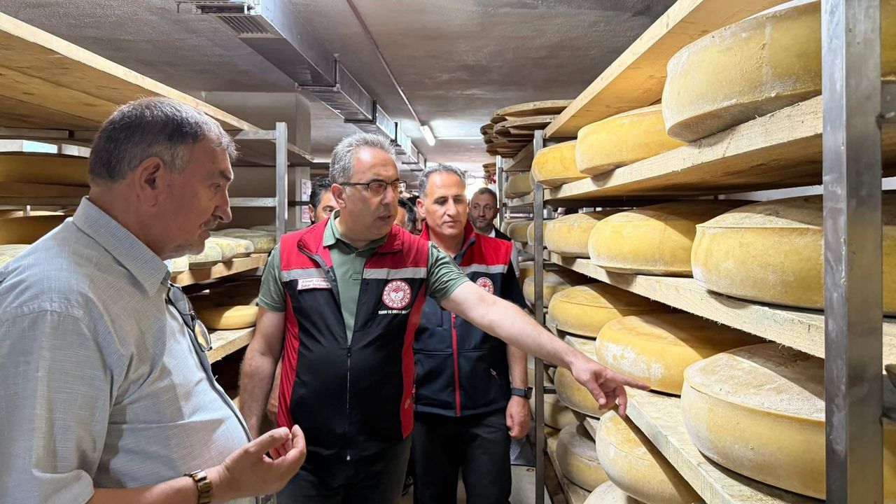 Boğatepe’de hayvancılık ve peynir yolculuğu: Geleneksel üretim yerinde incelendi