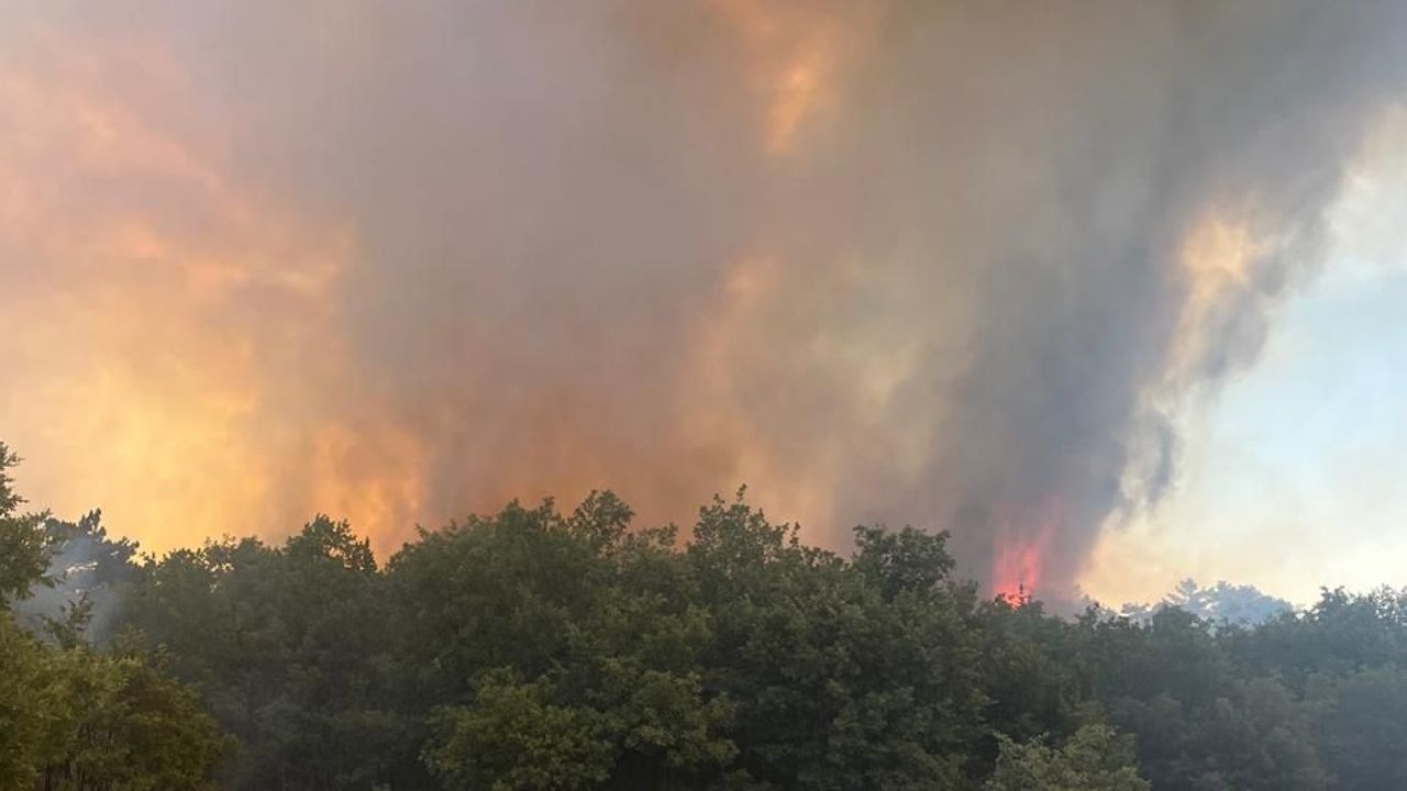 Edirne Keşan’da orman yangını