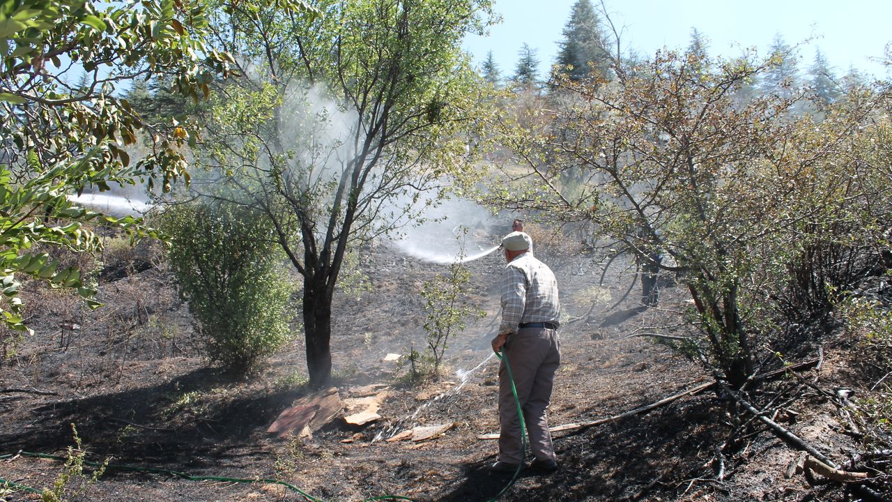 Afyonkarahisar Çay’da çıkan yangın söndürüldü