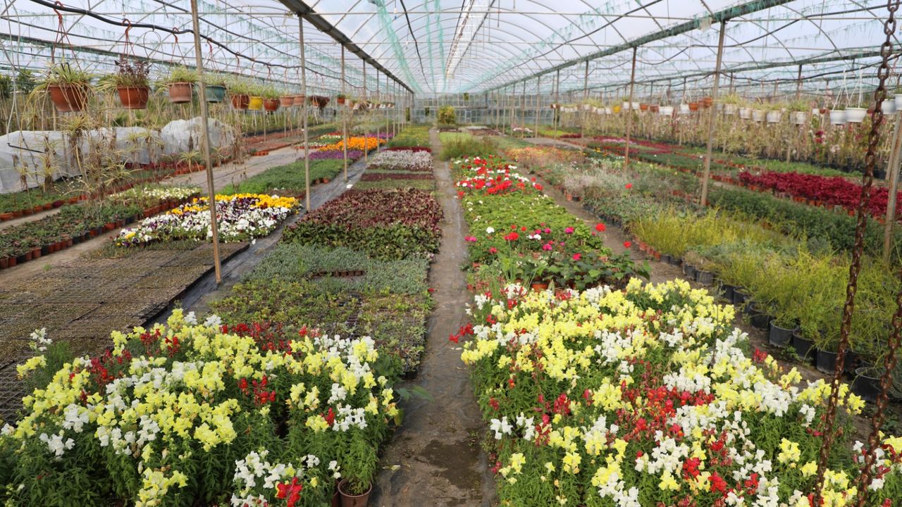 Kadın eliyle büyüyen üretim 23 Milyon TL’lik tasarruf getirdi