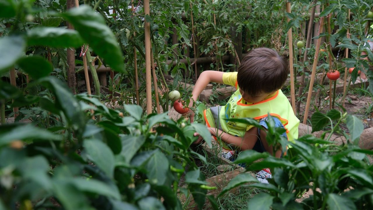 Lokomotif Çocuk Köyü’nde hasat sevinci