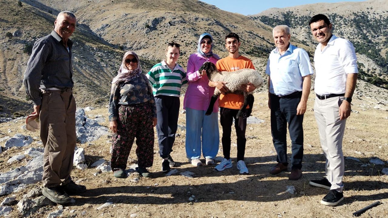 Atabey’de koyun projesi başarıyla tamamlandı!