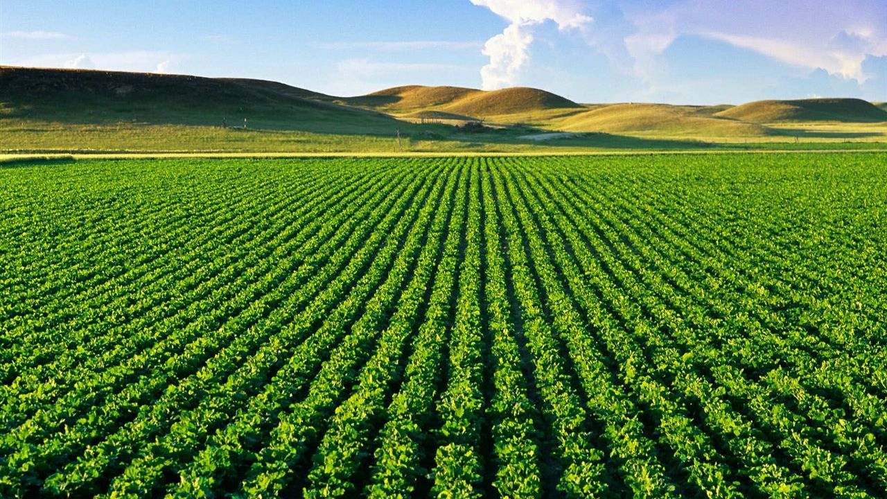 Tarımsal girdi maliyetleri yükselişte: Haziranda yıllık artış yüzde 33,9