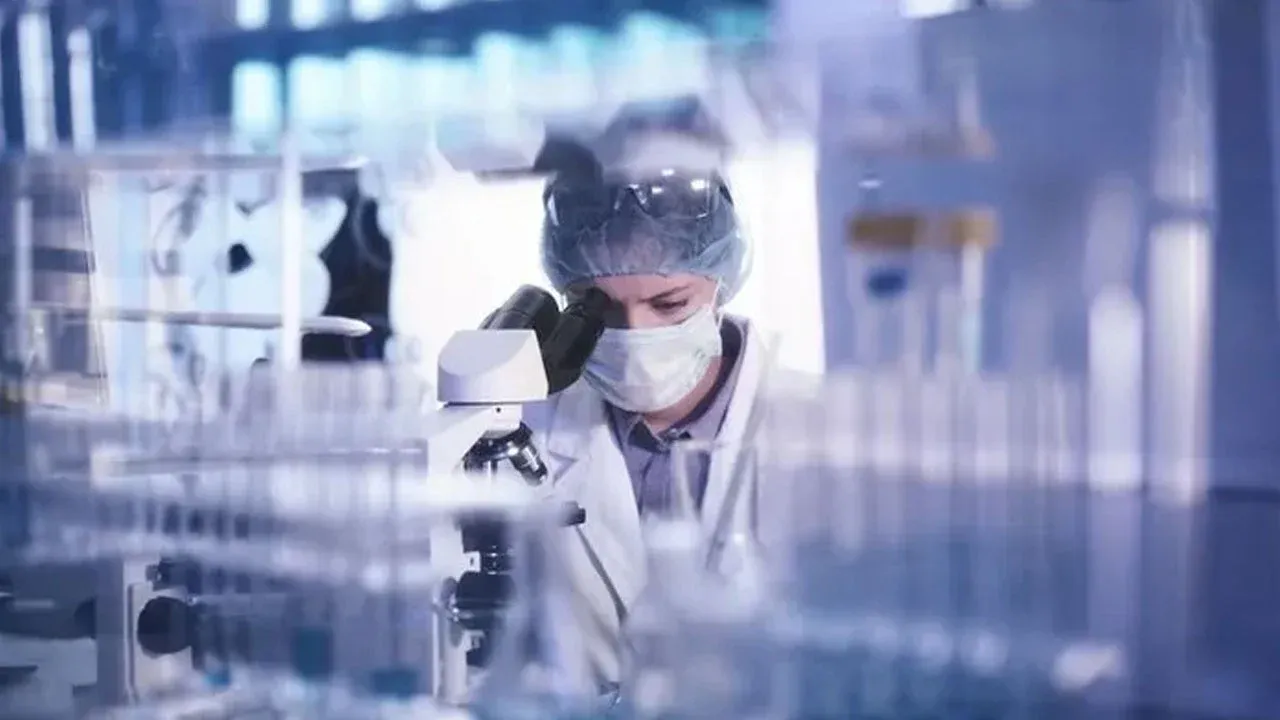 Yeni virüs alarmı: Çin’de Chikungunya vakaları hızla artıyor