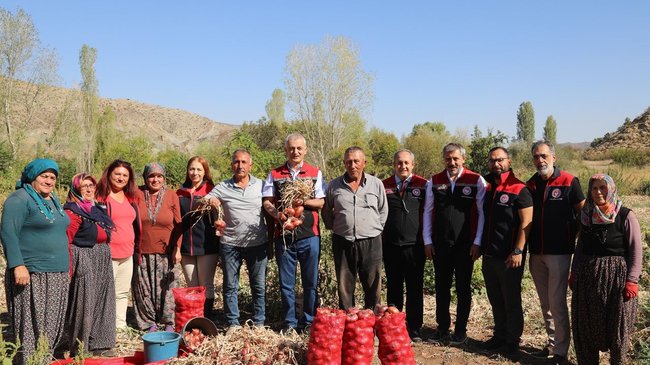 Kılıçlar Soğanında verim üreticiyi sevindirdi