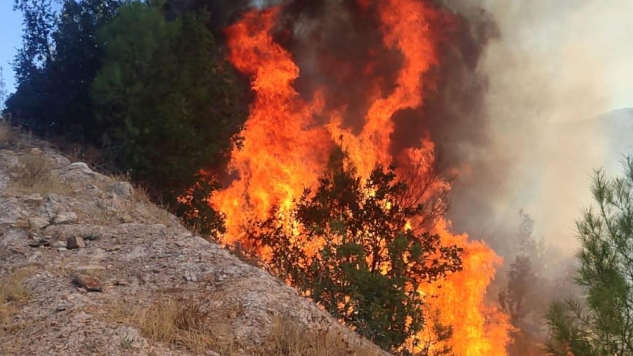 Balıkesir Sındırgı’da orman tangını: Ekipler seferber oldu