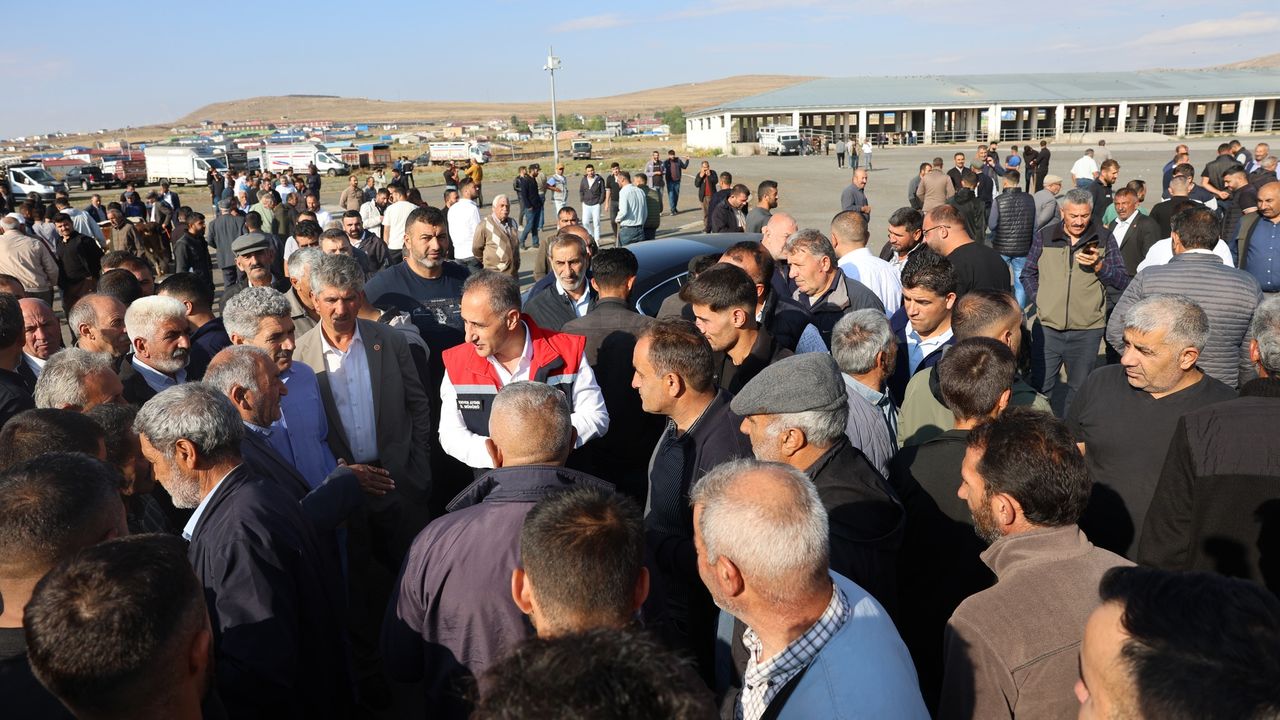 Kars Hayvan Pazarı açıldı