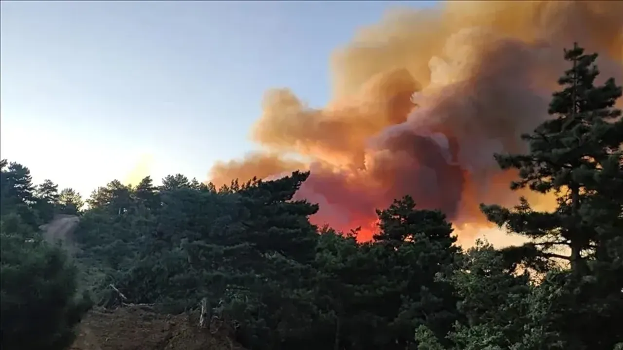 Manisa’da palet fabrikasında yangın çıktı