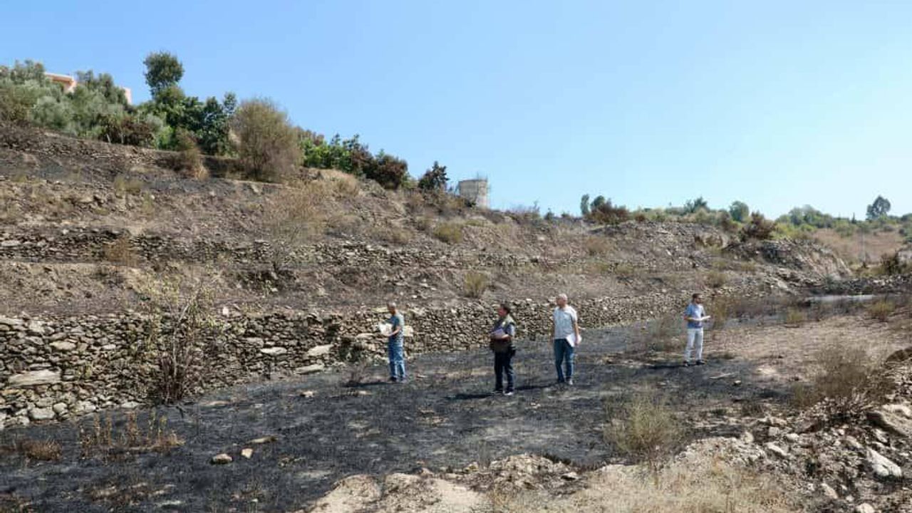 Alanya’daki yangınlar söndürüldü, hasar tespit çalışmaları başladı