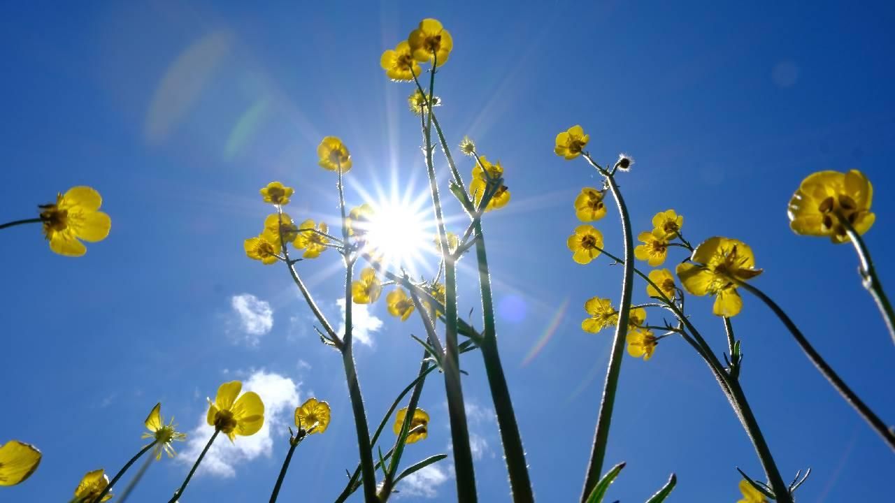 Hafta sonu hava durumu: Sıcak ve çoğunlukla yağışsız