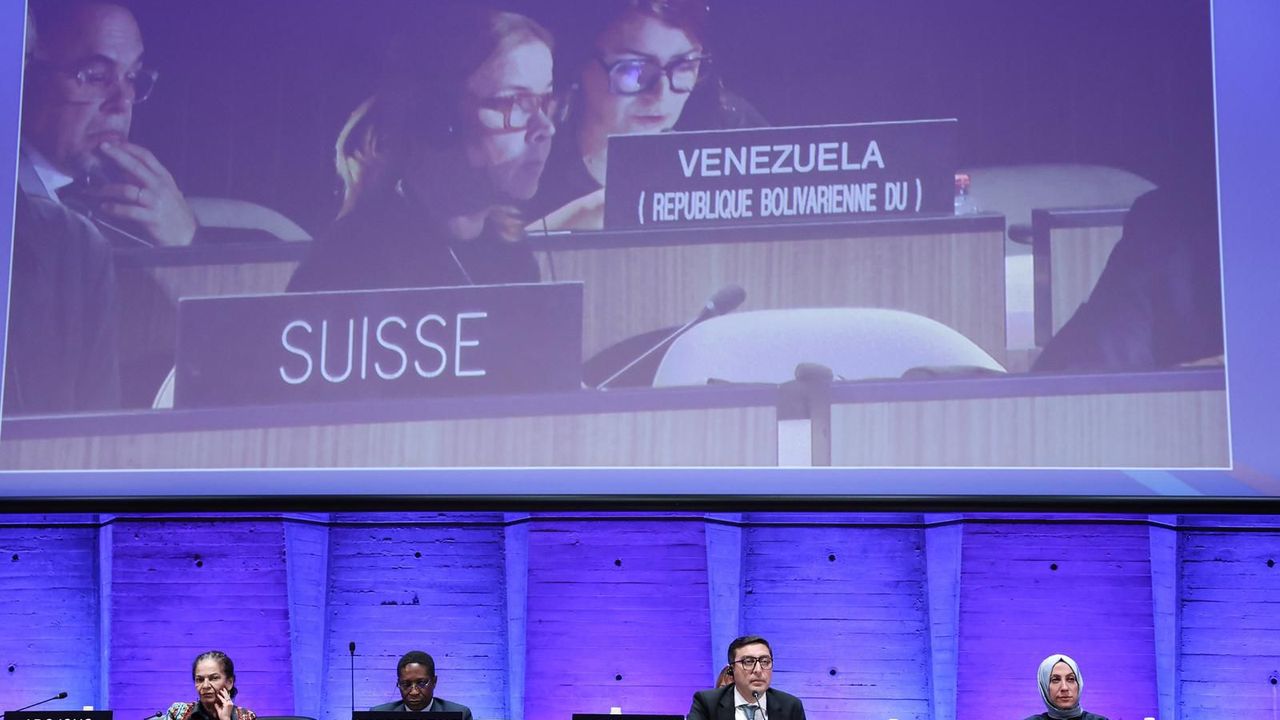 Türkiye, UNESCO Sporda Dopinge Karşı Uluslararası Sözleşmesi Yönetim Kuruluna yeniden seçildi