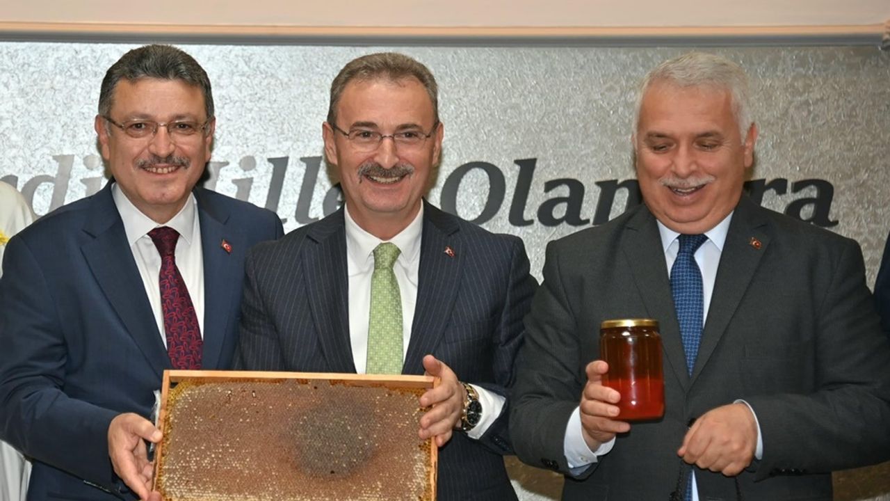 Ağasar balı markalaşacak