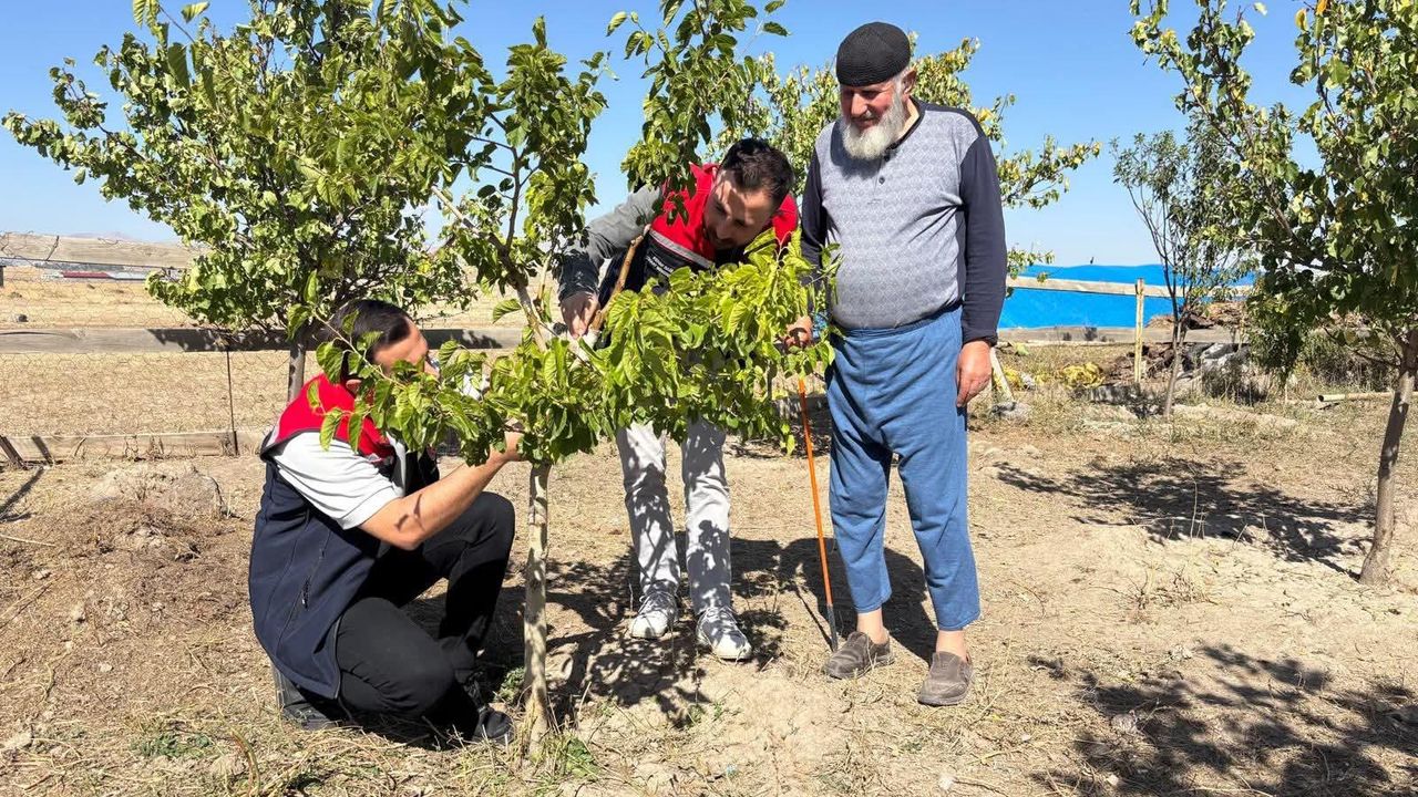 Bacalı Köyü’nde durgun T göz aşısı uygulaması ve takip çalışmaları yapıldı