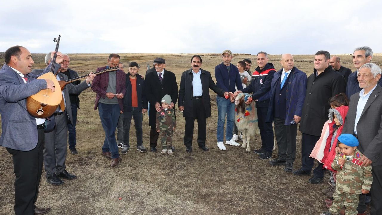 Kars’ta “Koç Katım Geleneği” coşkuyla sürdürülüyor