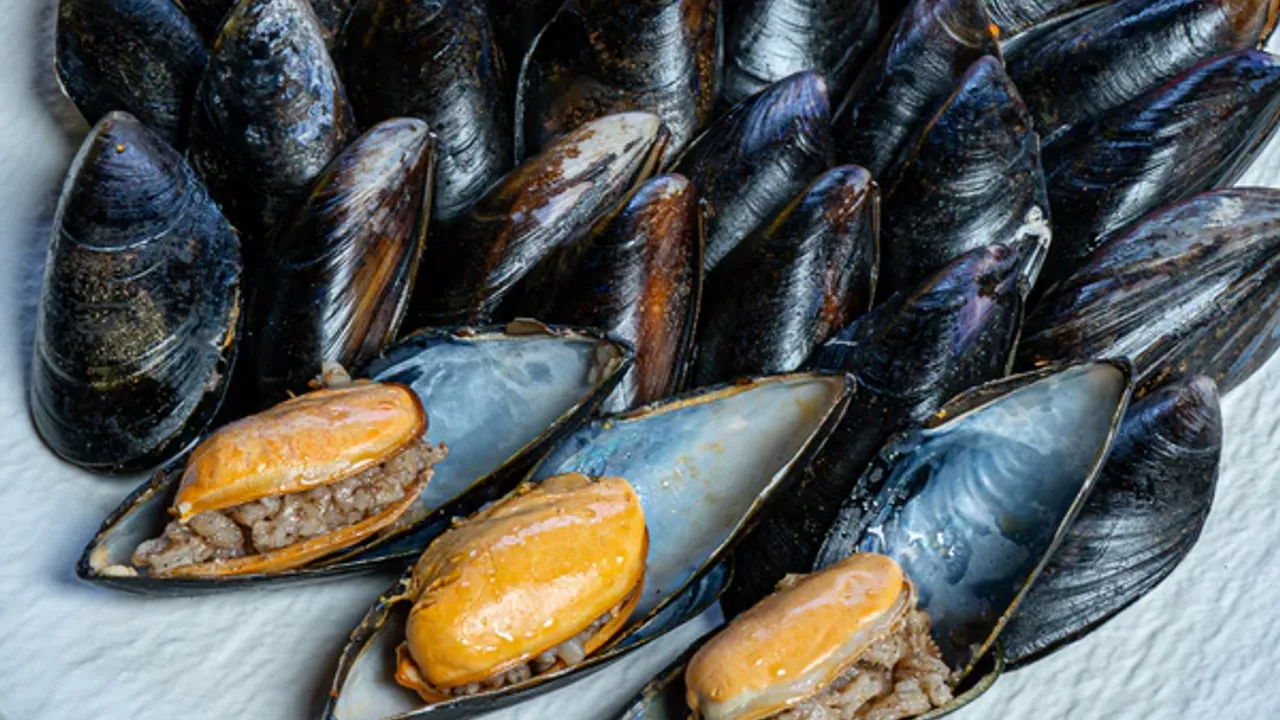 İstanbul’da midye şüphesi: Can kaybı 3’e yükseldi, 4 gözaltı