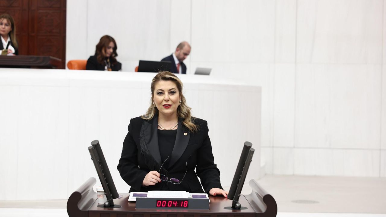 Elvan Işık Gezmiş Giresun’un ulaşım sorunlarını sordu