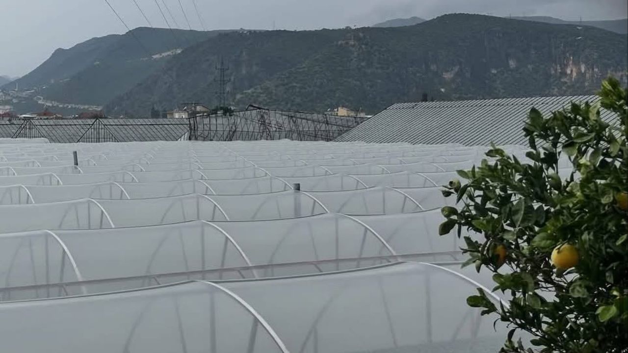 Antalya Demre’de hortum seraları vurdu