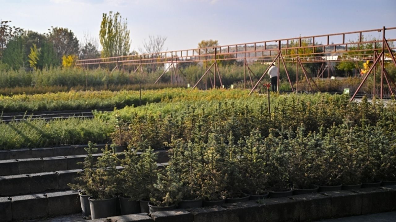 Milli Ağaçlandırma Günü’nde hedef 15 milyon fidanın sahiplenilmesi