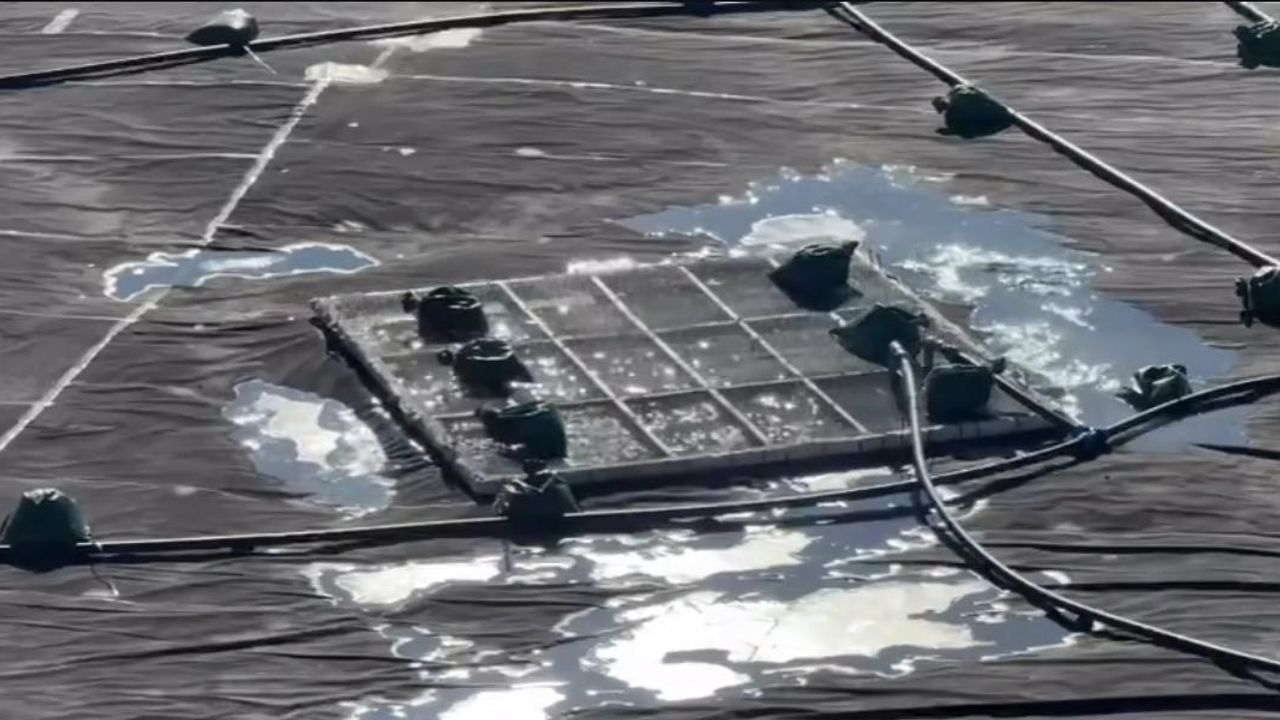 Sarıkamış suni karlama projesinde gölet dolumu başladı