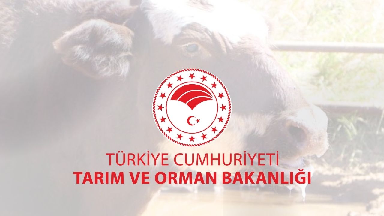 Tarım ve Orman Bakanlığı, şap hastalığının kontrol altına aldığını açıkladı