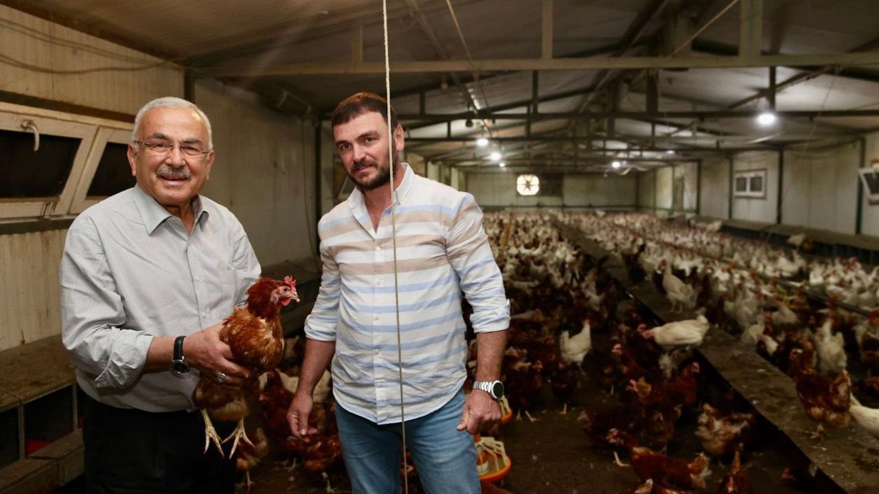 ”75 yumurta işletmesinden 65’i battı.”