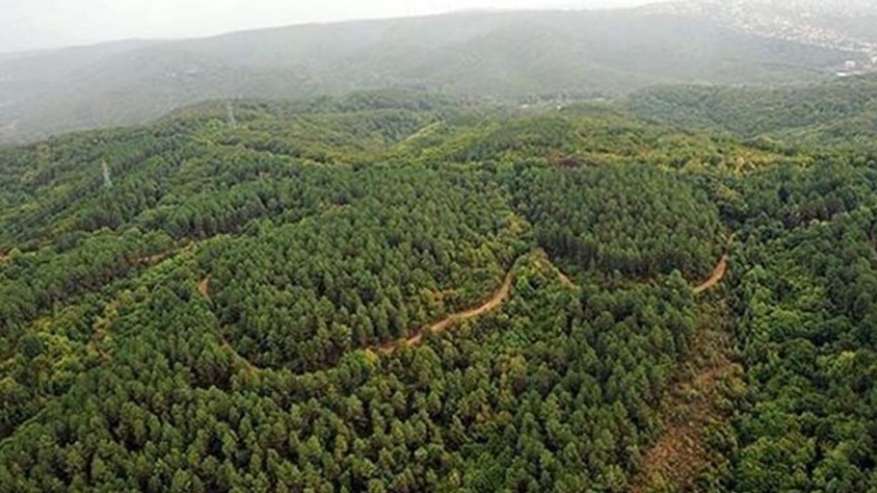 Türkiye’de doğal sit alanı 28 bin 907 kilometrekareye yükseldi