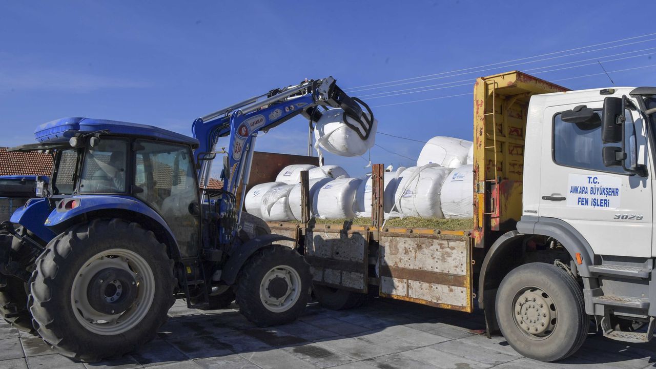 ABB, mısır silajı desteği ile üreticilerin yanında olmaya devam ediyor