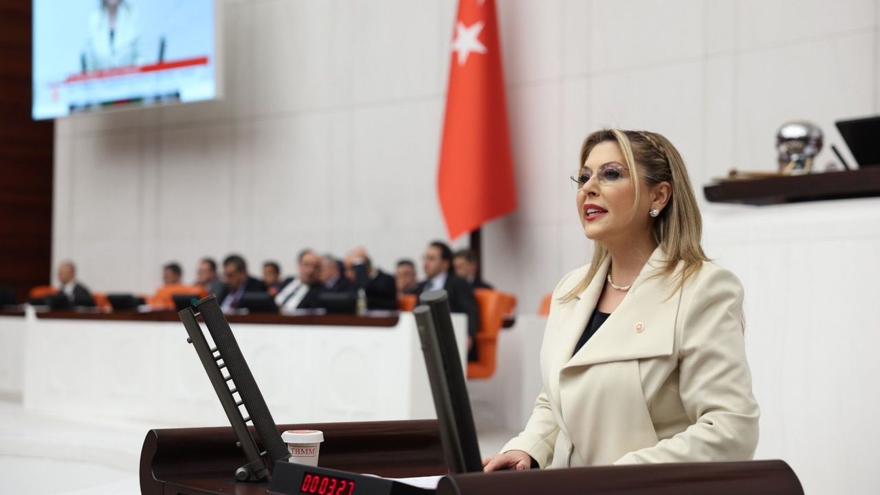 Elvan Işık Gezmiş: Fındık üreticisi masal dinlemek istemiyor