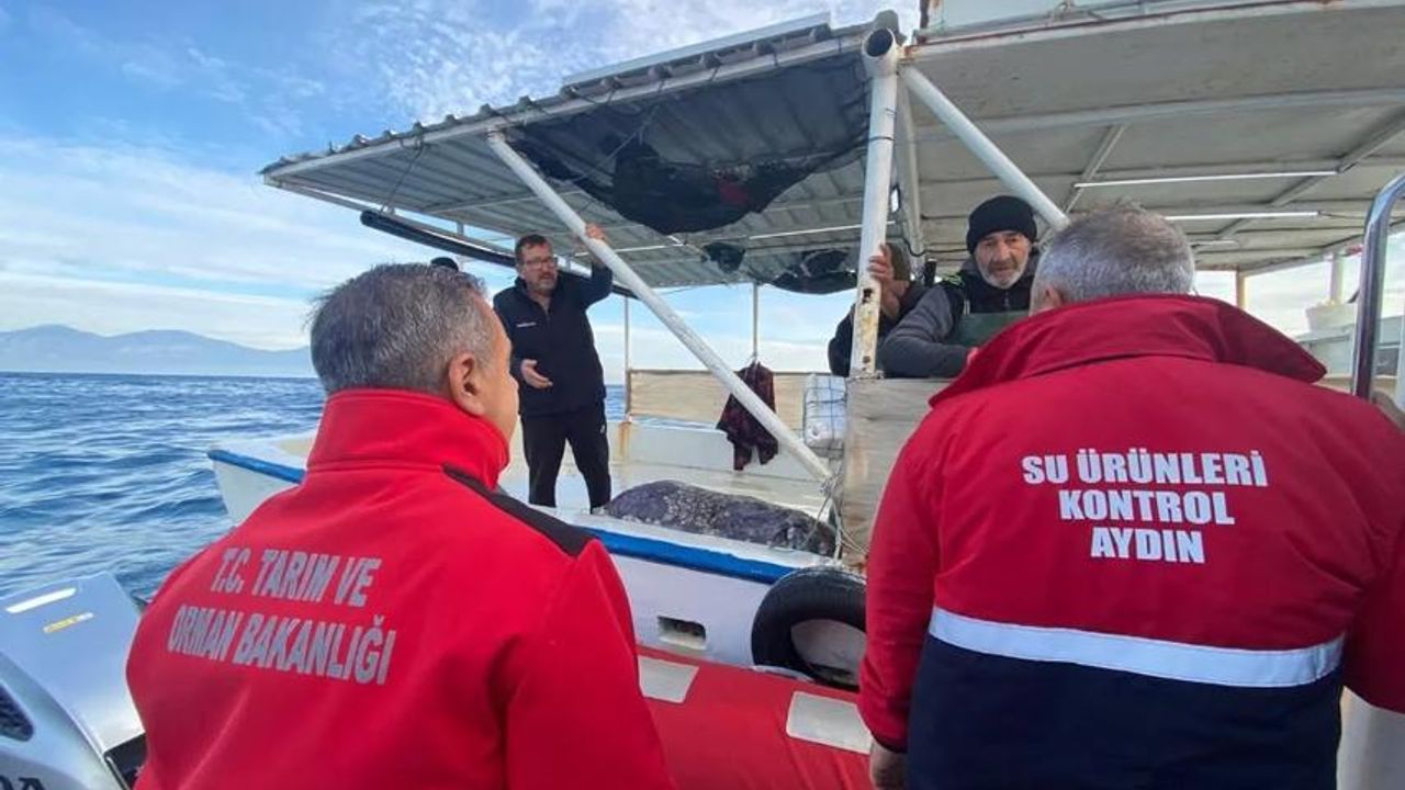 Aydın’da su ürünleri denetimi sürüyor