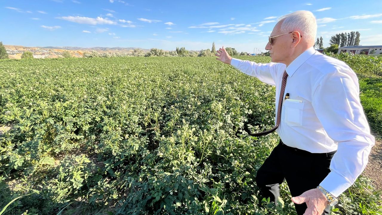 Prof. Dr. Mehmet Haberal, uyarıyor: Üretmeyen aç kalır, başkalarına muhtaç olur