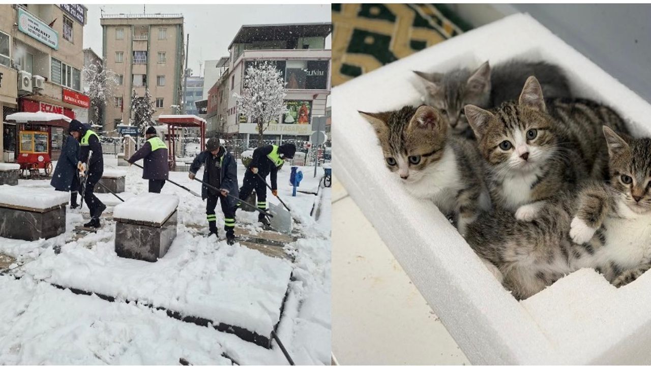 Belediye emekçileri yoğun kar yağışına karşı seferber oldu