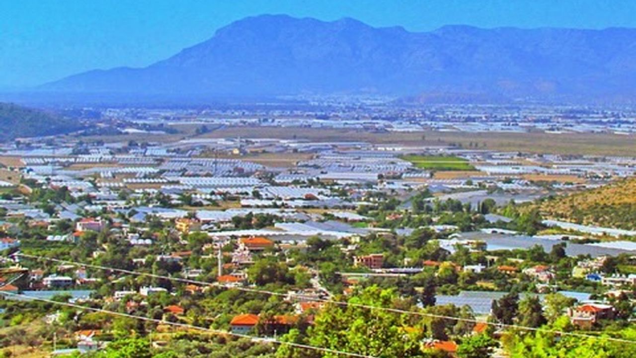 Sahil kesimdeki örtü altı üreticilere soğuk hava uyarısı