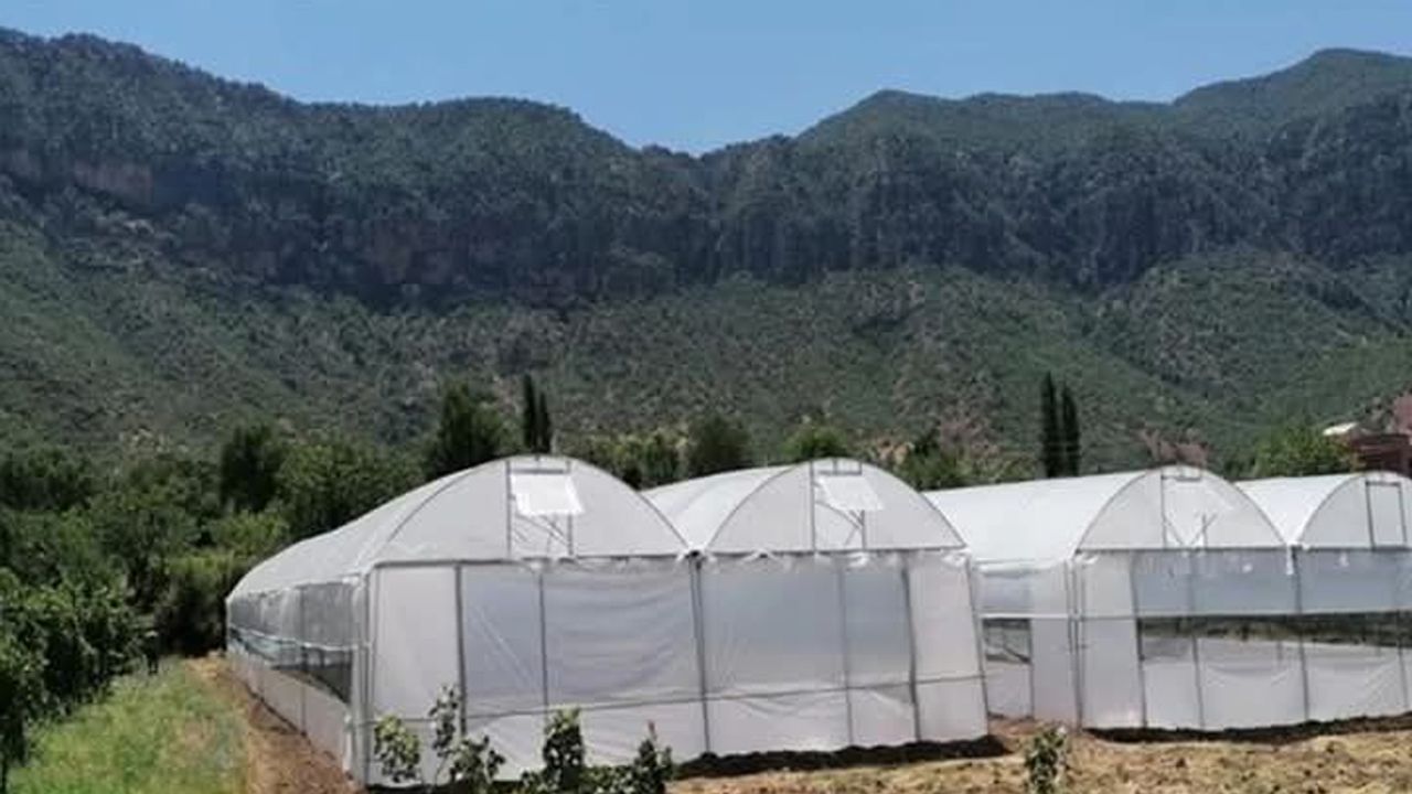 Seralarda yıkım hasat sonrasına ertelendi