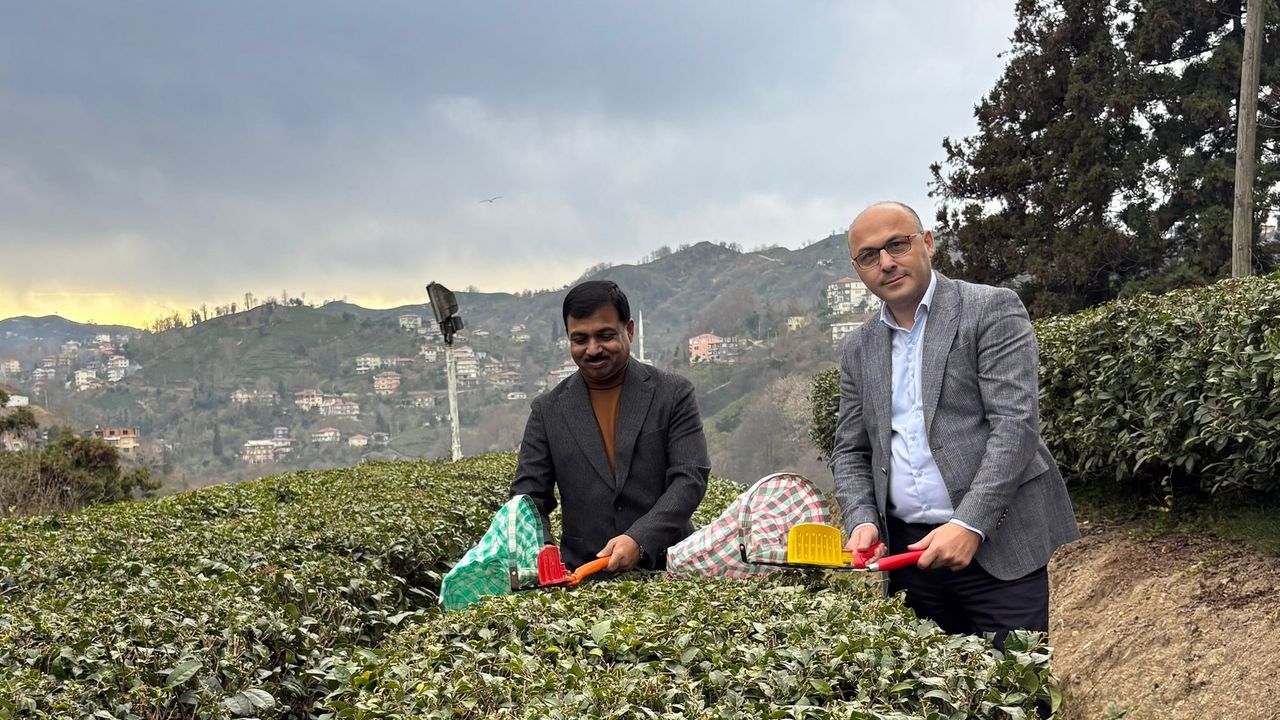 Hindistan’ın Türkiye Büyükelçisi Rize’de: Türkiye’ye gelince günde 7-8 bardak çay içiyorum