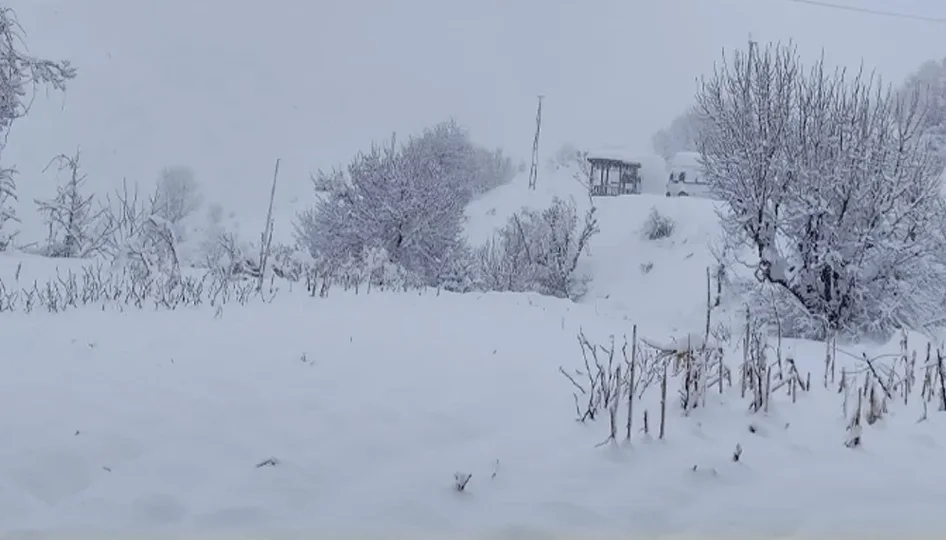 Ordu’da bazı ilçelerde okullar tatil