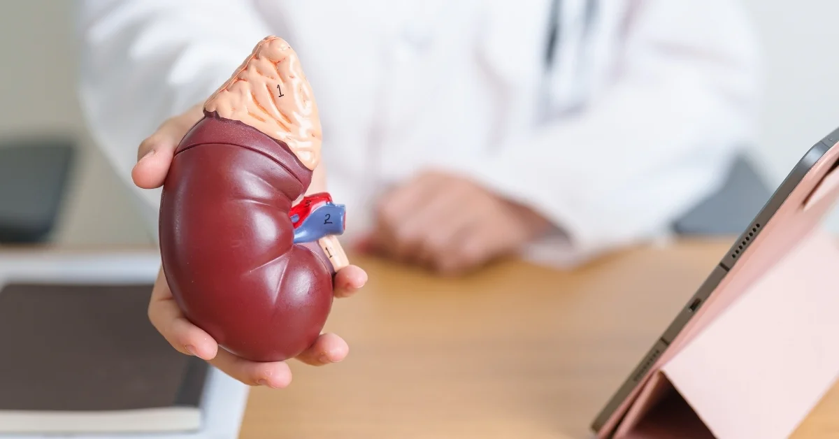 Dünya Böbrek Günü: 850 milyon kişiyi etkileyen hastalık