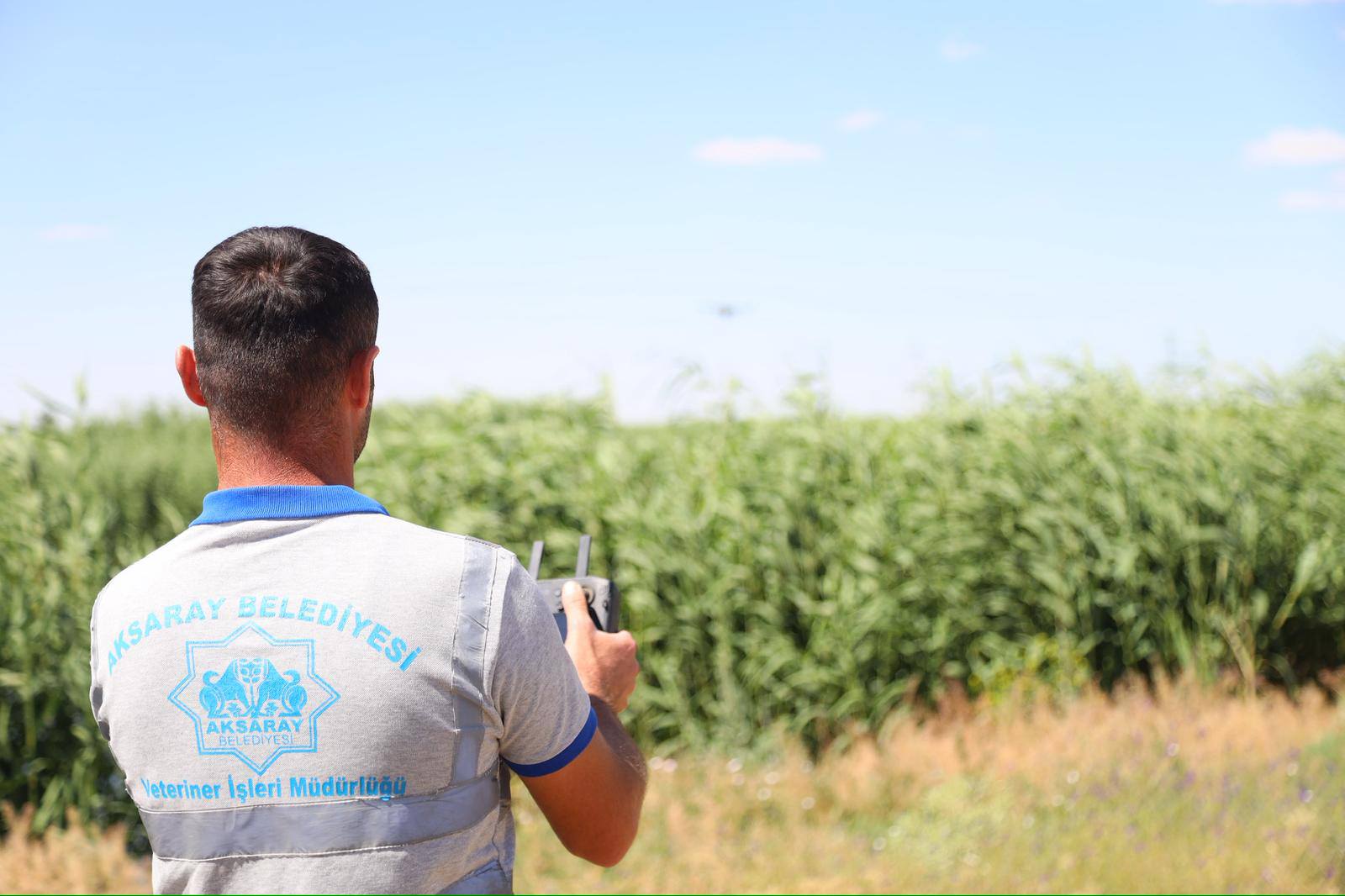 Aksaray Belediyesi’nden Biyolojik Mücadeleyle Haşerelere Erken Müdahale