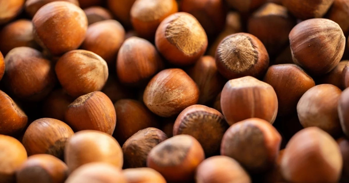 Fındık ihracatında 6 aylık gelir 1,17 milyar doları aştı