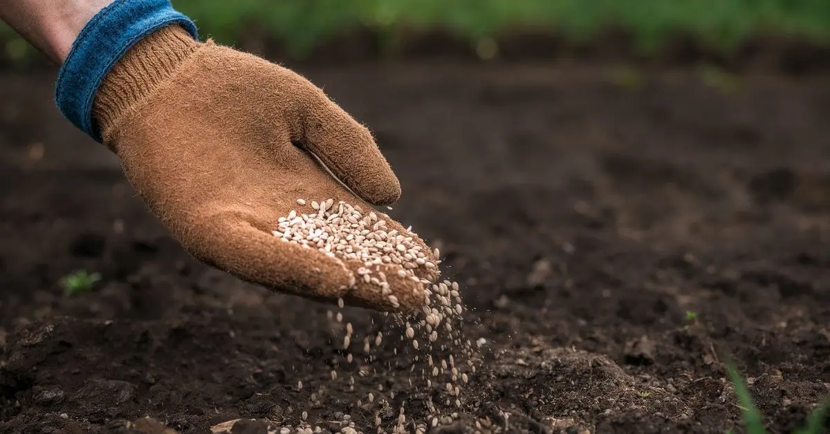 Gübre krizi iddialarına DMM’den yalanlama