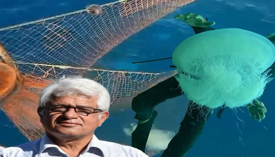 Kaş’lı Balıkçılara denizanası alarmı