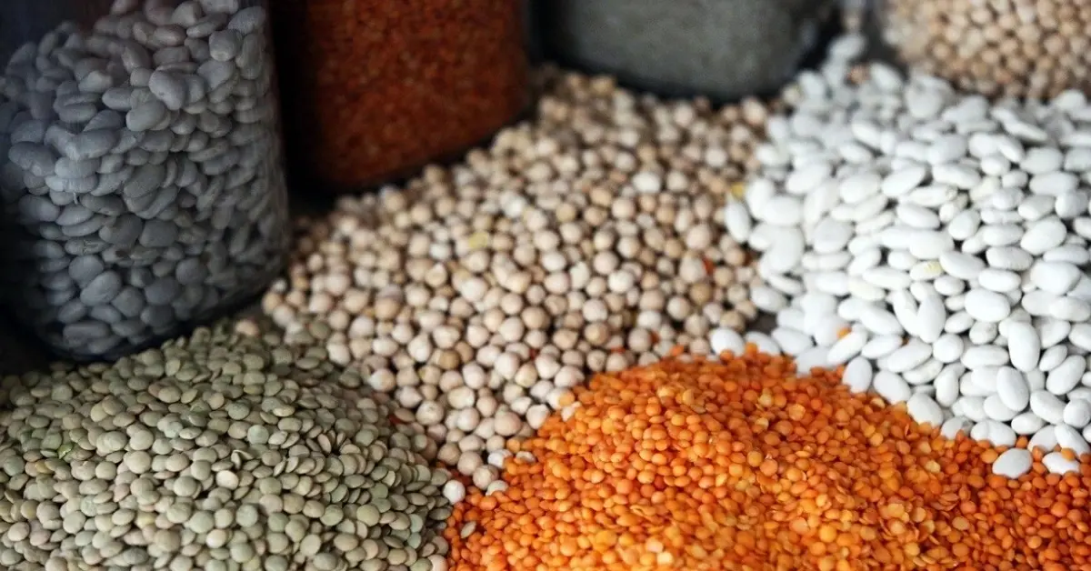 Türkiye’nin gıda ihracatı 2026’da 1,9 milyar dolara ulaştı