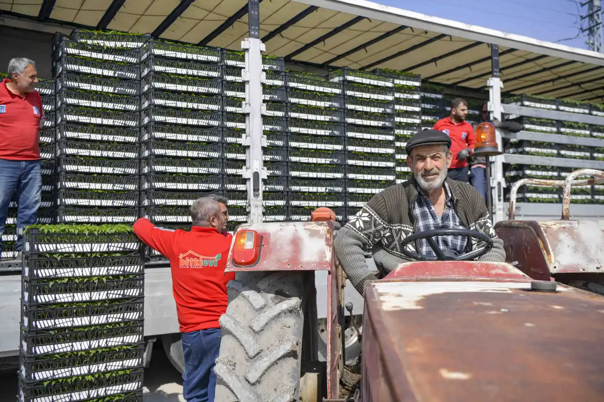 ABB’den 8 ilçede erkenci fide desteği 268 çiftçiye toplamda 624 bin 120 adet erkenci sebze fidesi