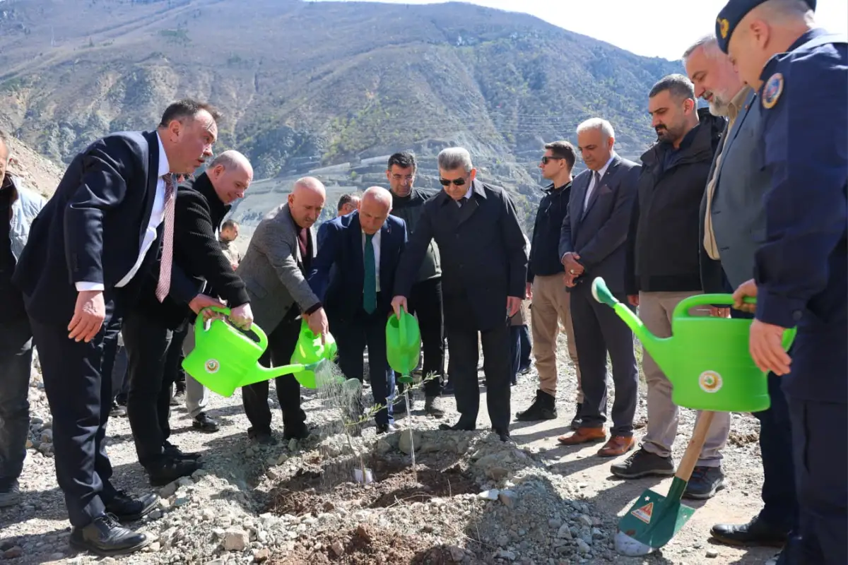 Artvin’de 450 zeytin fidanı toprakla buluştu