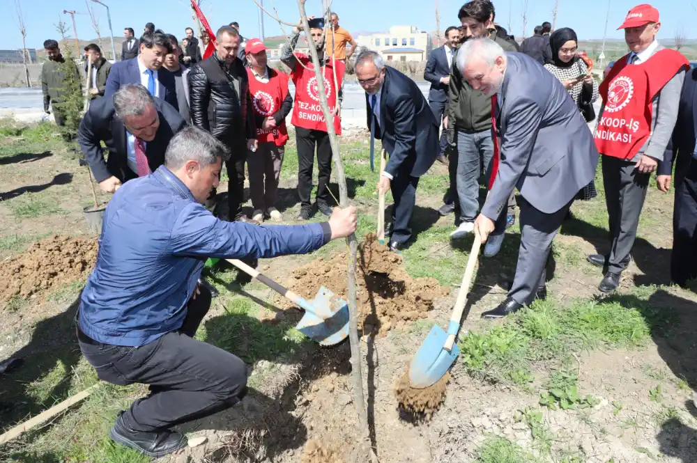Bozkıra Nefes: AYBÜ’de 2200 fidan toprakla buluştu