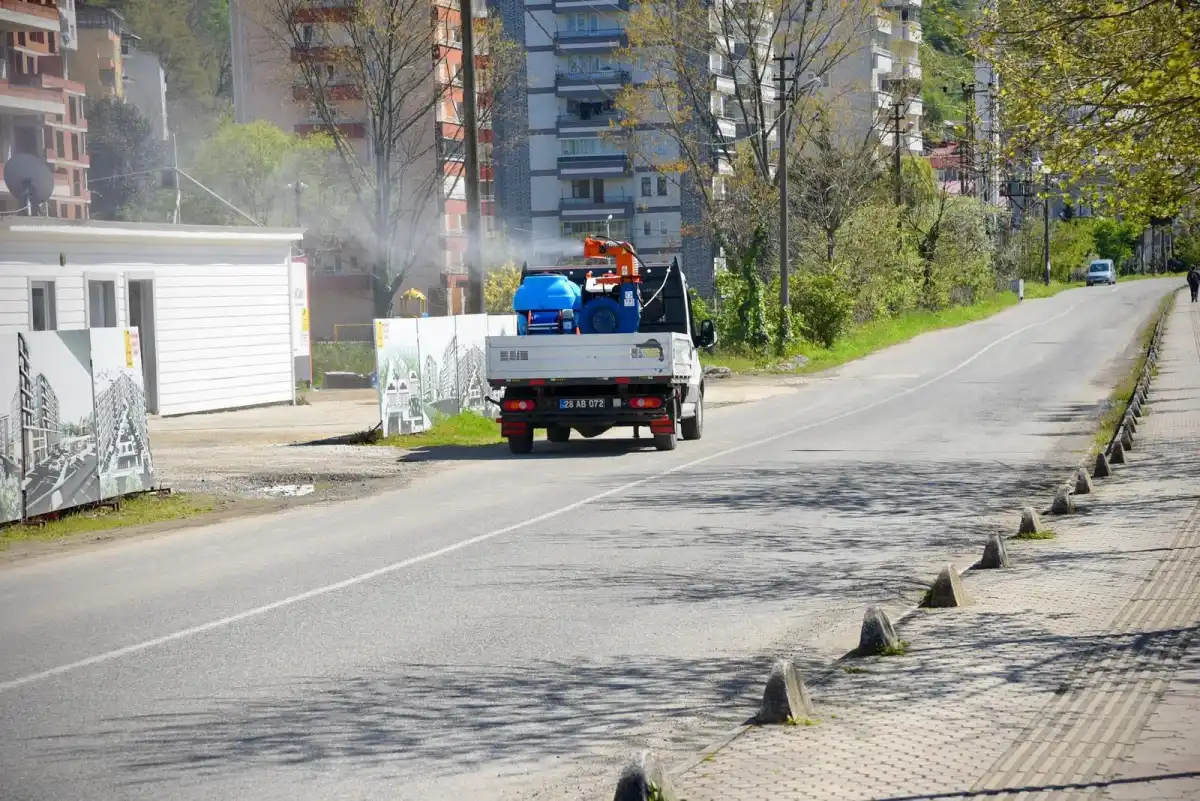 Giresun Belediyesi kahverengi kokarca ilaçlamasına başladı